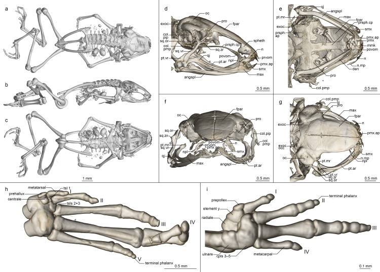 Fig 6