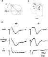 Fig. 8.