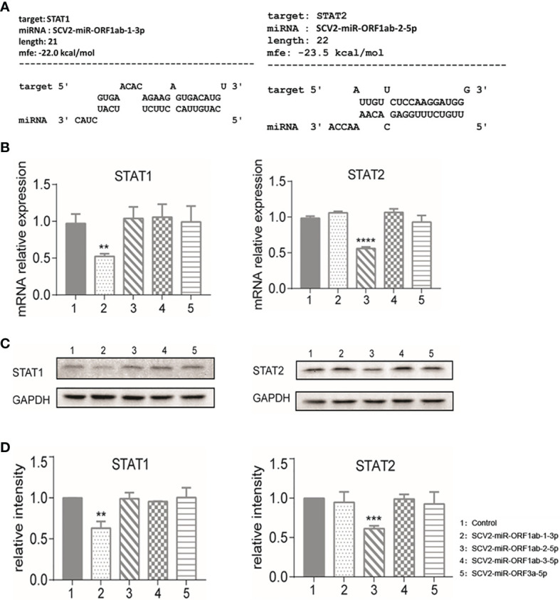 Figure 4