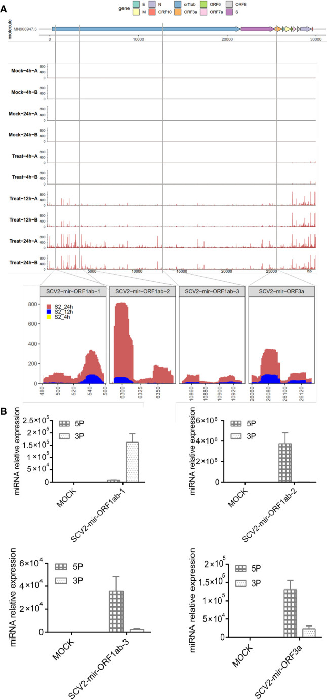 Figure 1