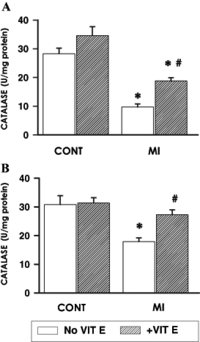 Figure 2)