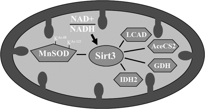 FIG. 7.