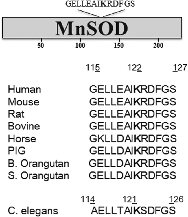 FIG. 5.