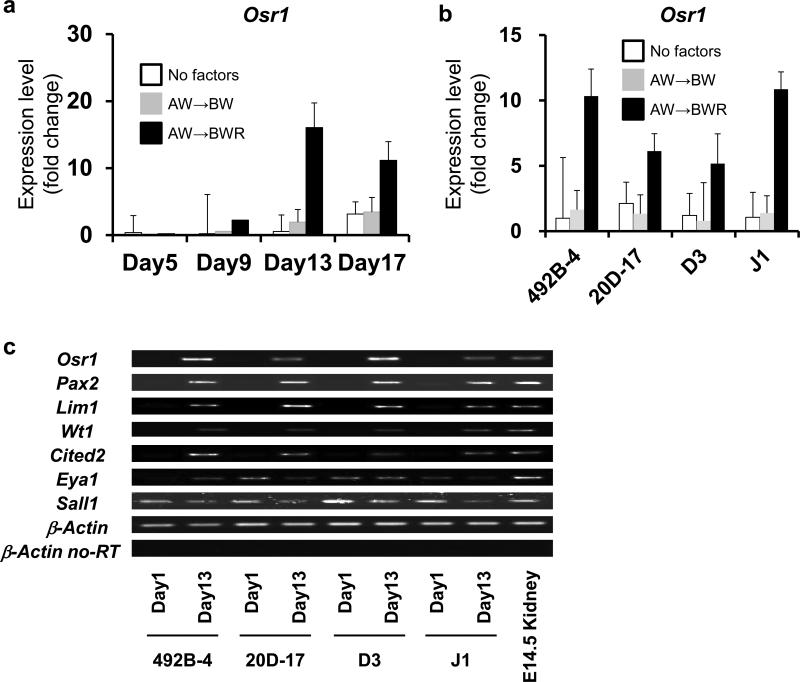 Figure 6