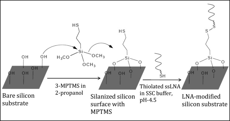 Scheme 2.