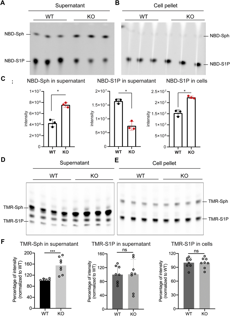 Figure 6