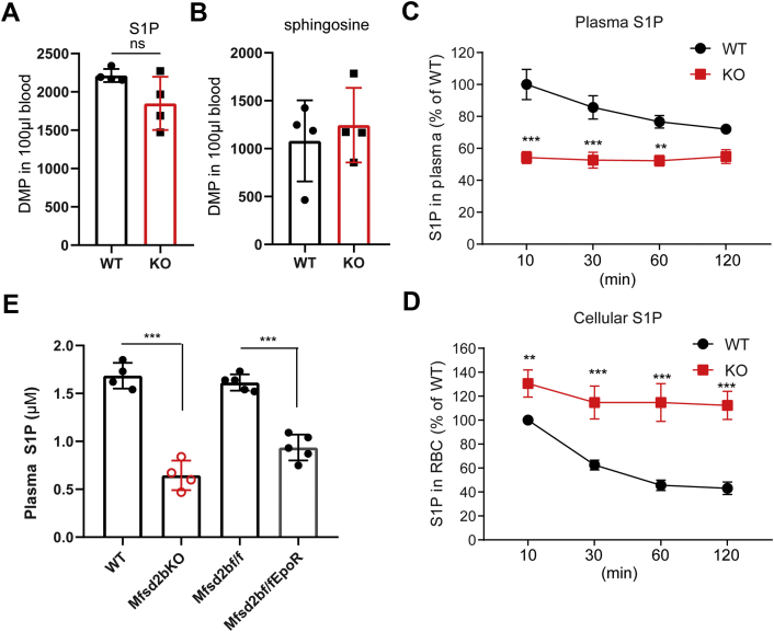 Figure 1