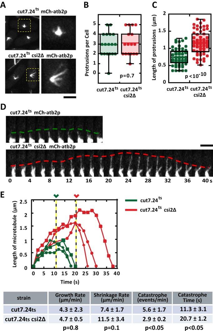 FIGURE 5: