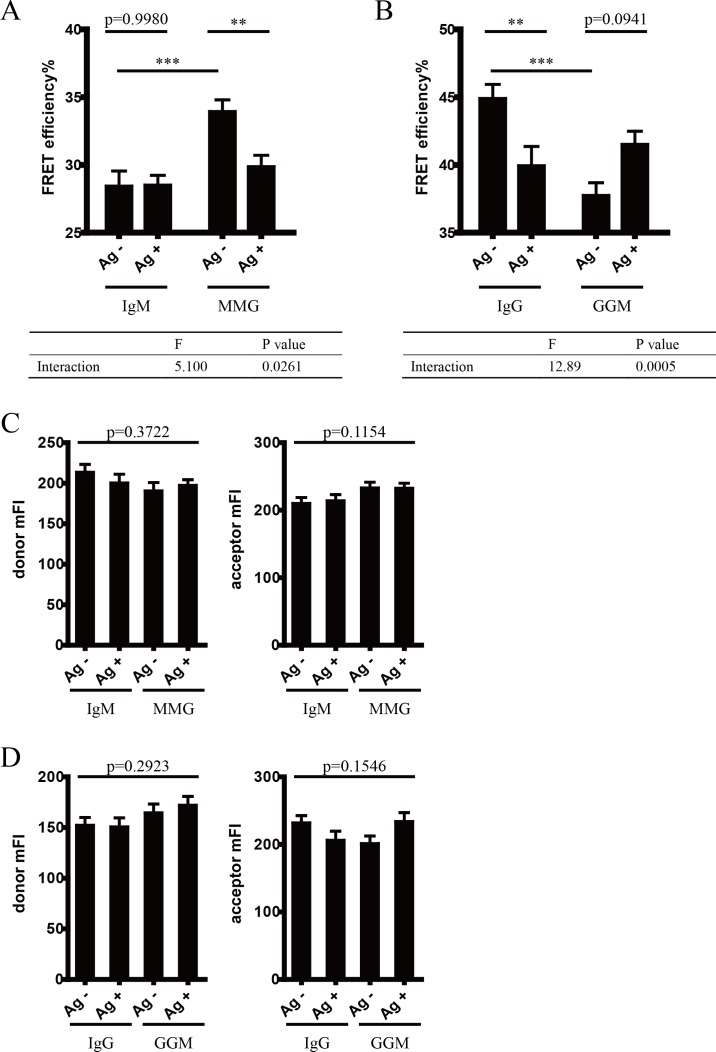 Figure 5—figure supplement 2.