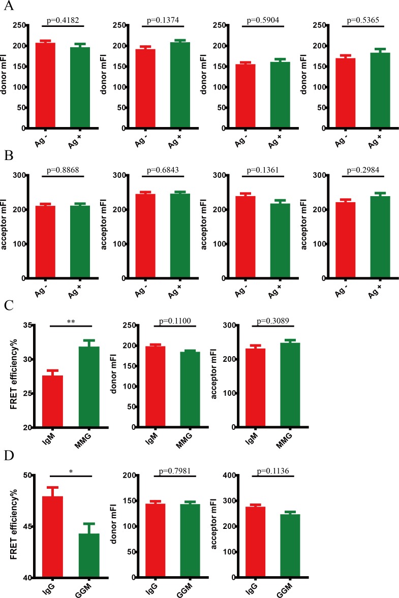 Figure 5—figure supplement 1.