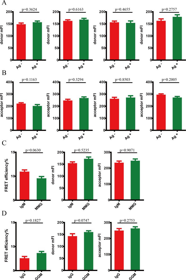 Figure 3—figure supplement 1.