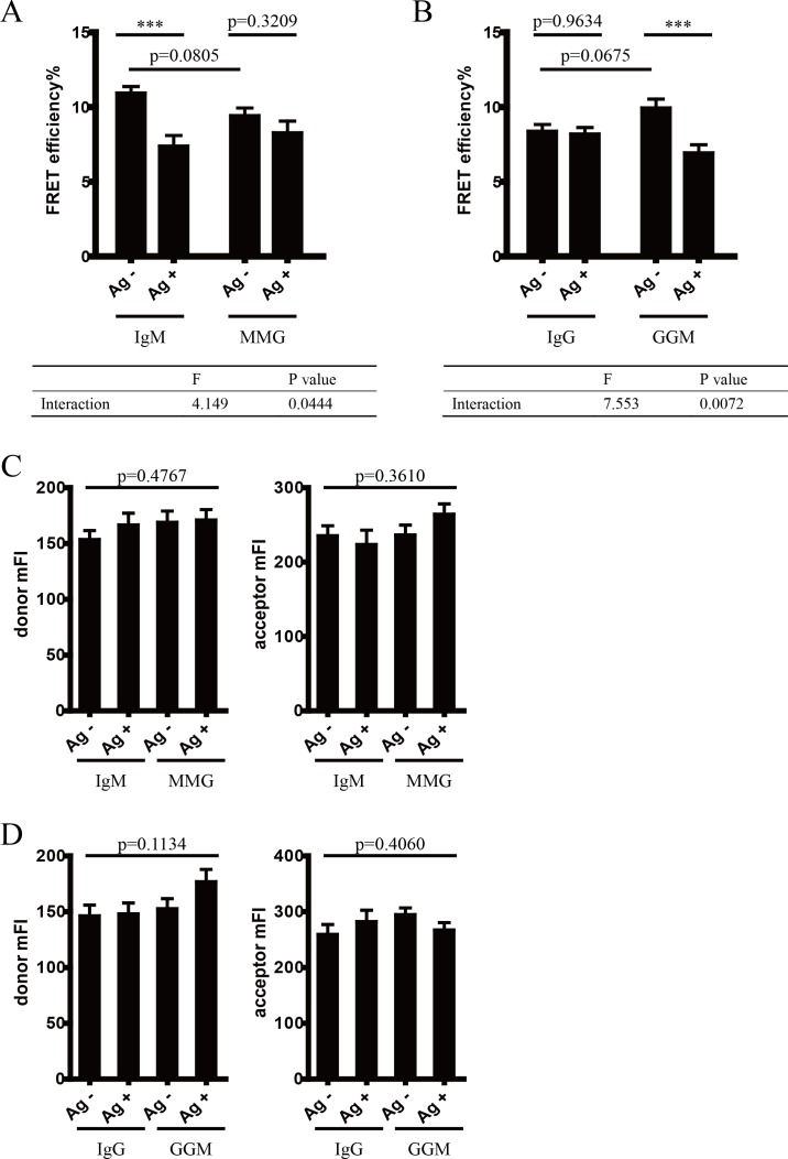 Figure 3—figure supplement 2.