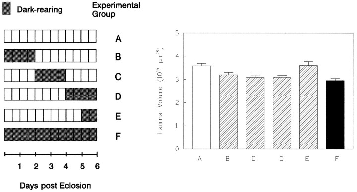 Fig. 10.