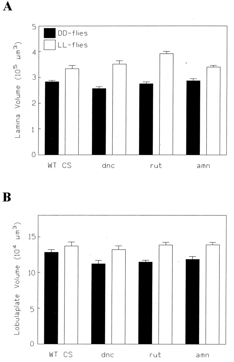 Fig. 11.