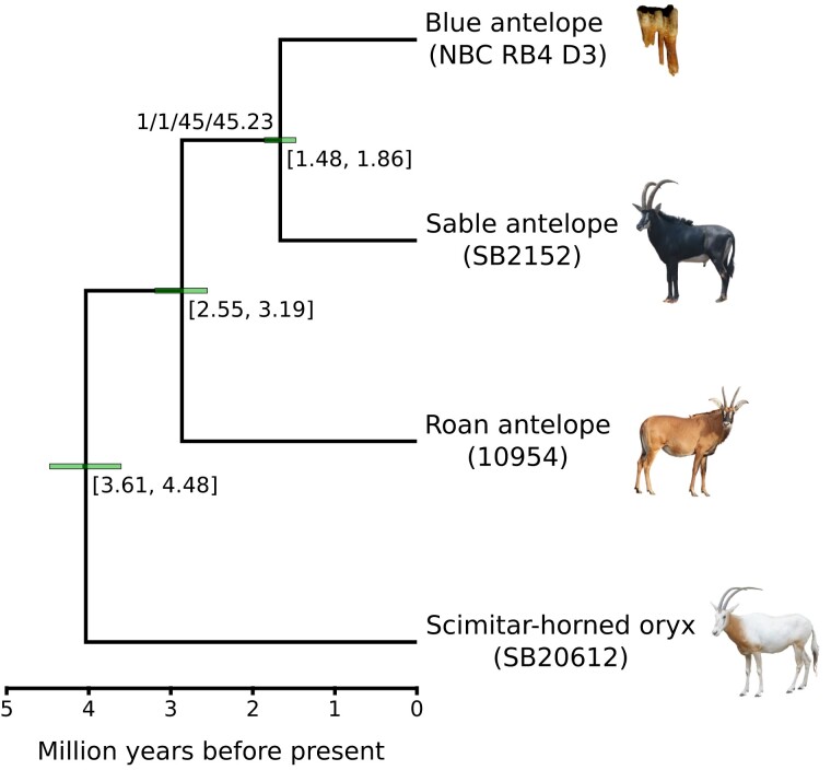 
Fig. 2.