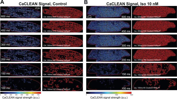 Figure 3—figure supplement 1.