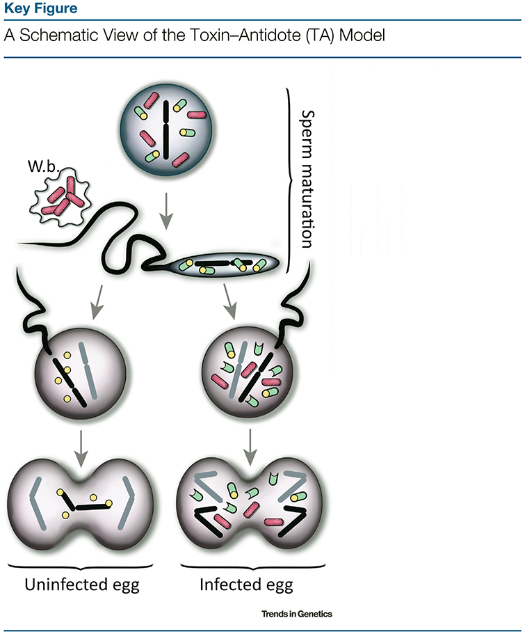 Figure 2.