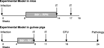 FIG. 1.