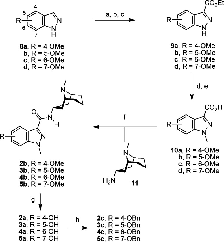 Scheme 1