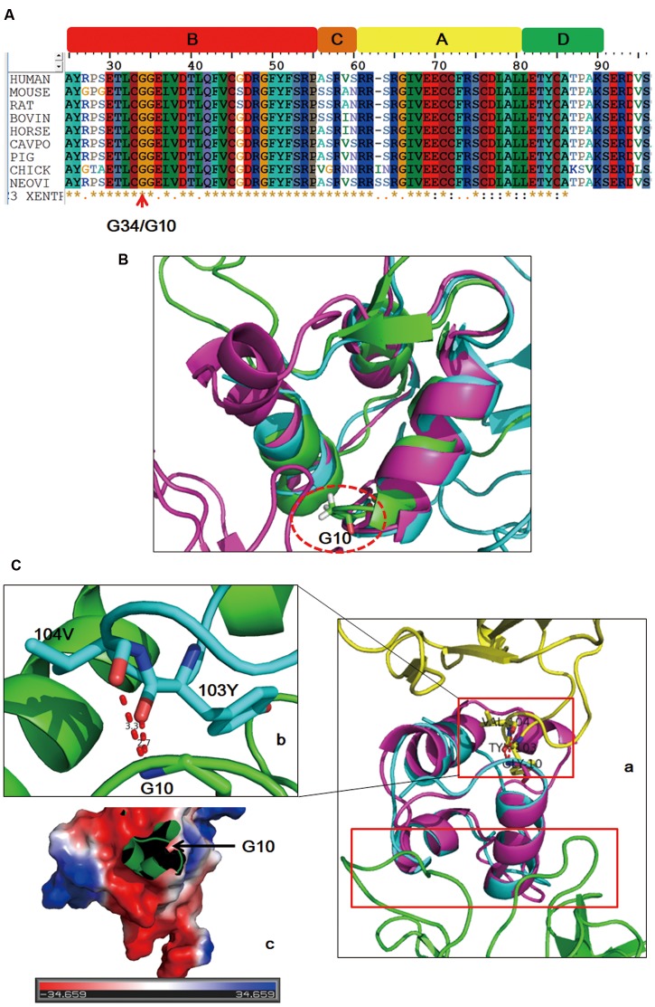 FIGURE 3