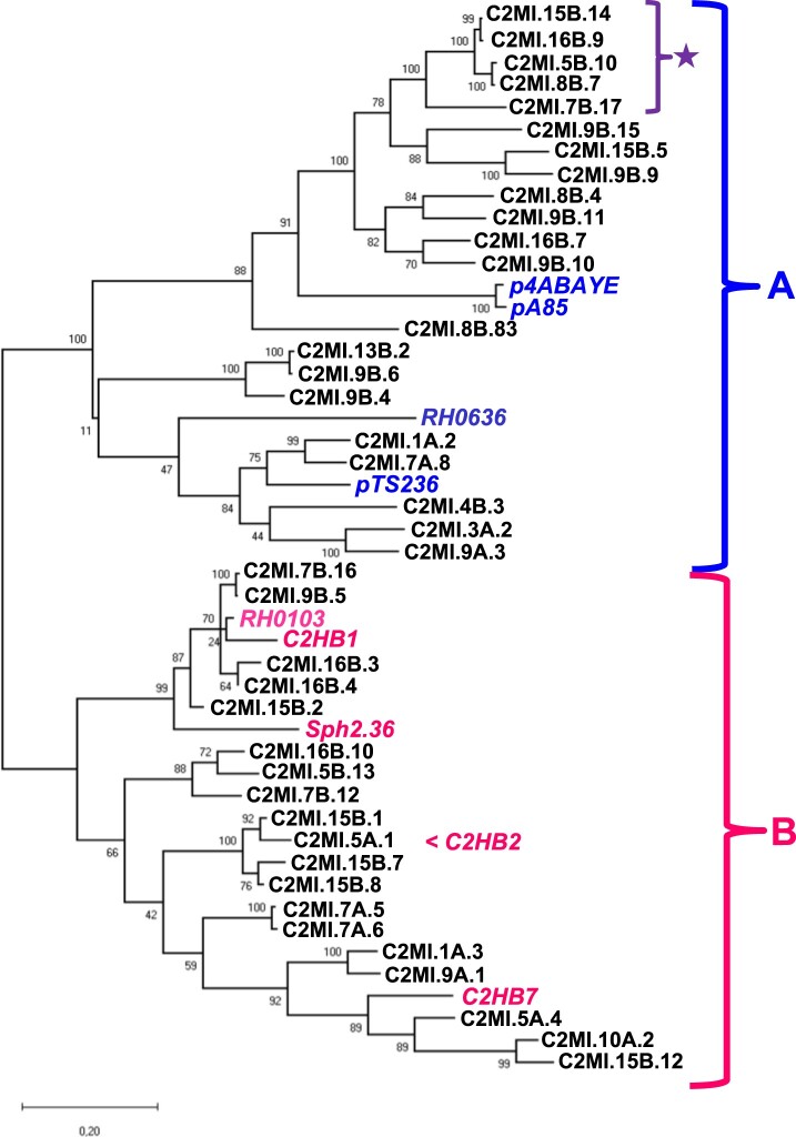 Figure 2.