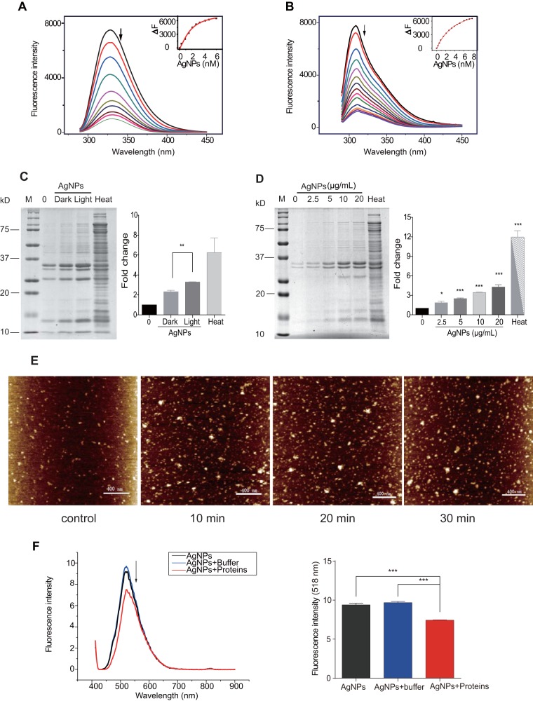 FIG 3