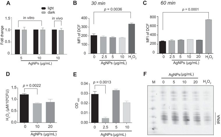 FIG 2