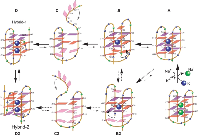 Figure 8.