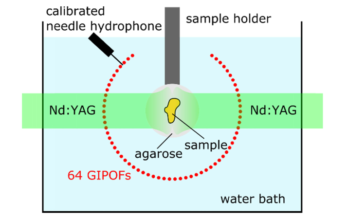 Fig. 2