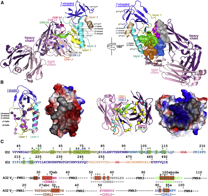 Figure 4