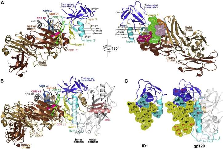 Figure 2