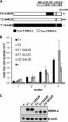 FIG 2