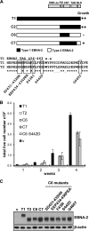FIG 1