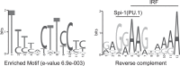 FIG 7