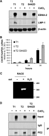 FIG 5