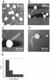 FIG. 3.