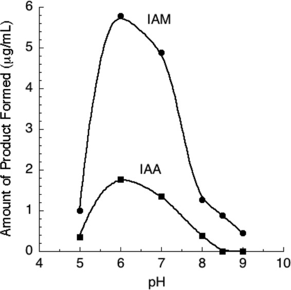 FIG 3