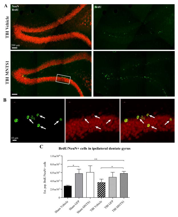 Figure 10