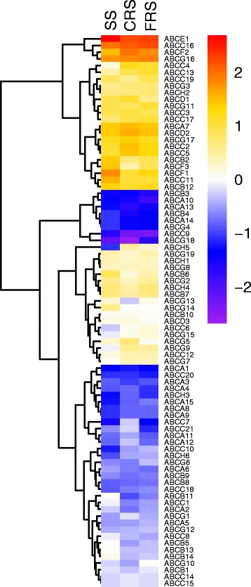 Fig. 10