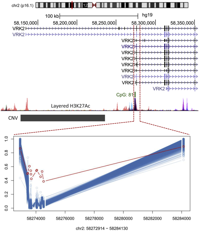 Figure 7