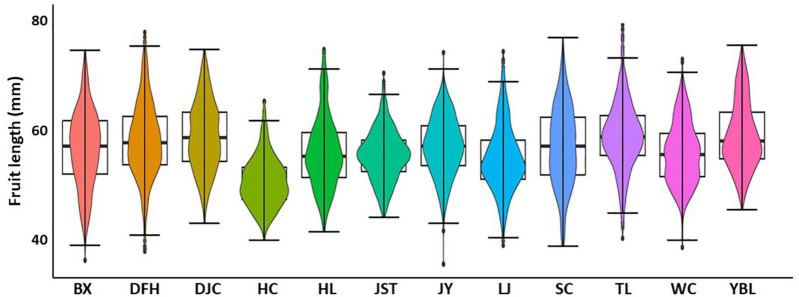 FIGURE 3