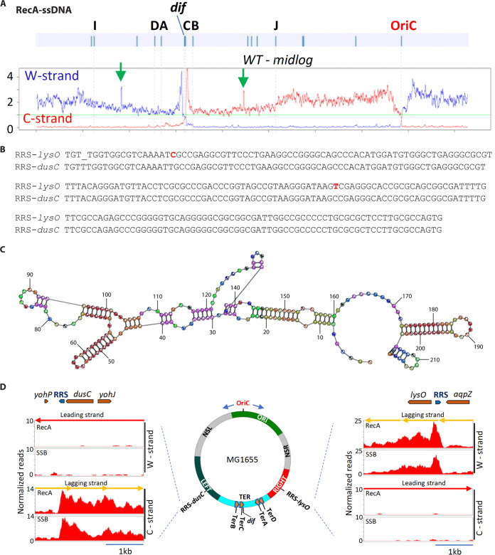 FIG 9