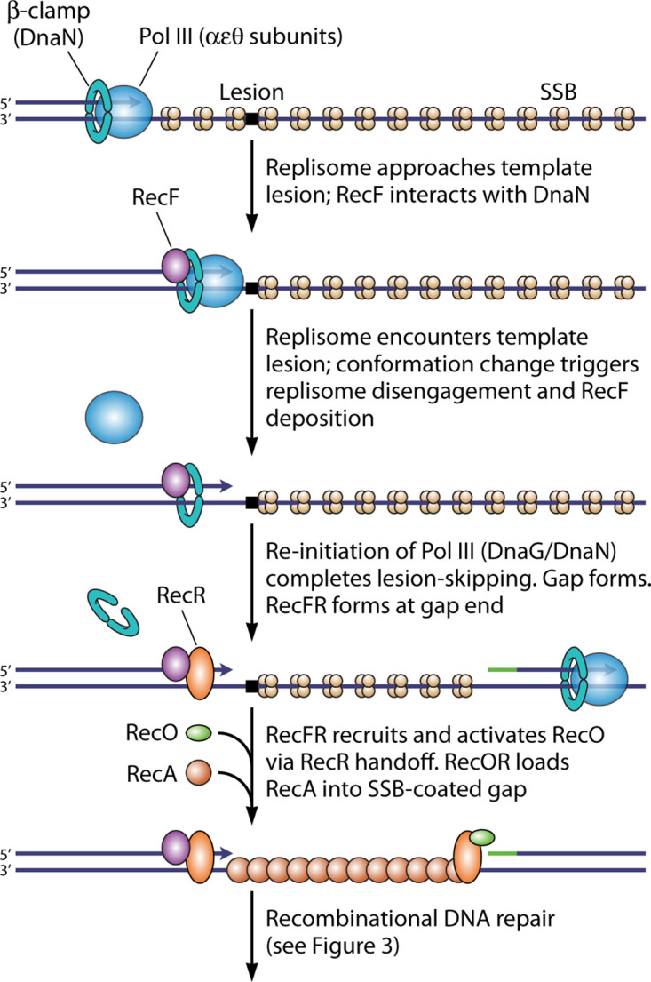 FIG 6