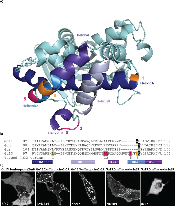 Fig 1