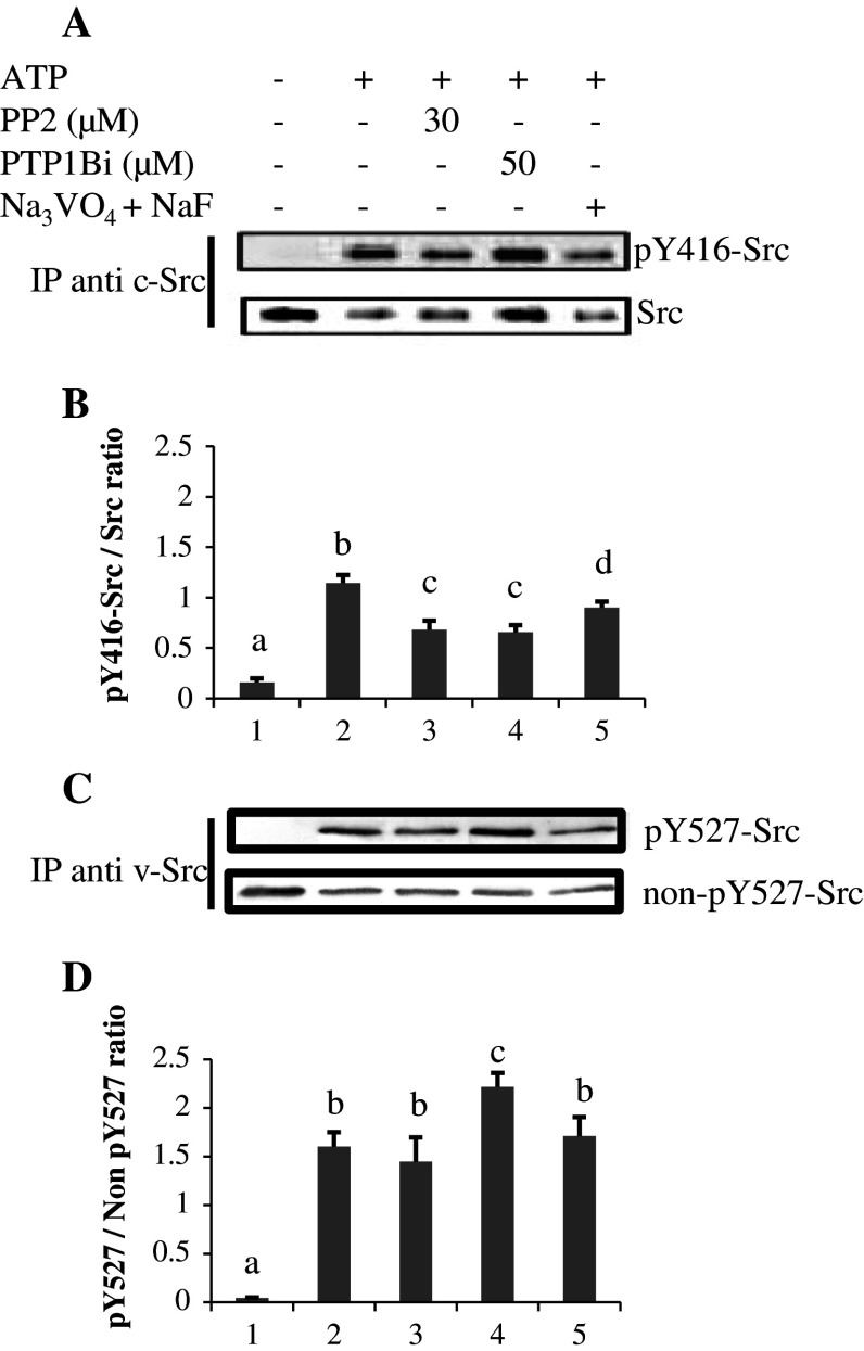 Fig. 3a–d