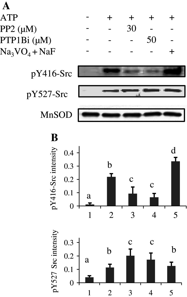 Fig. 2a, b