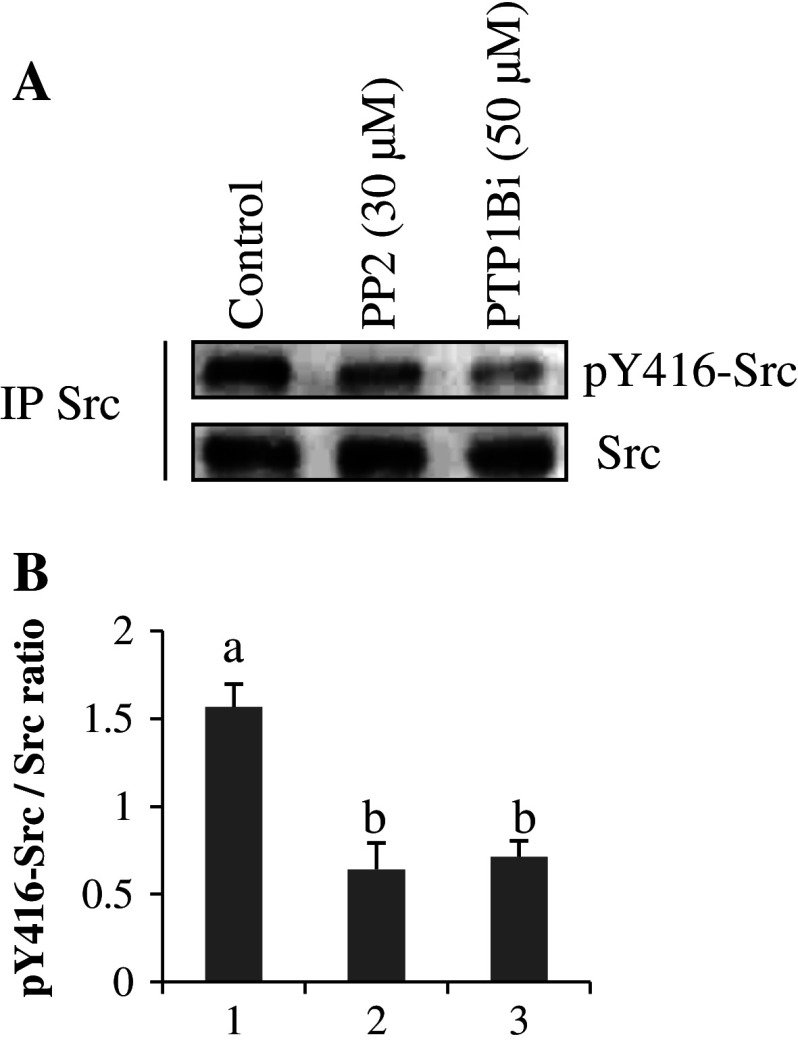 Fig. 5a, b