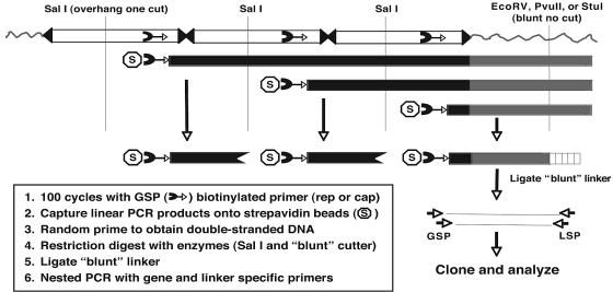 FIG. 2.