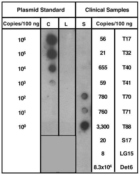 FIG. 7.