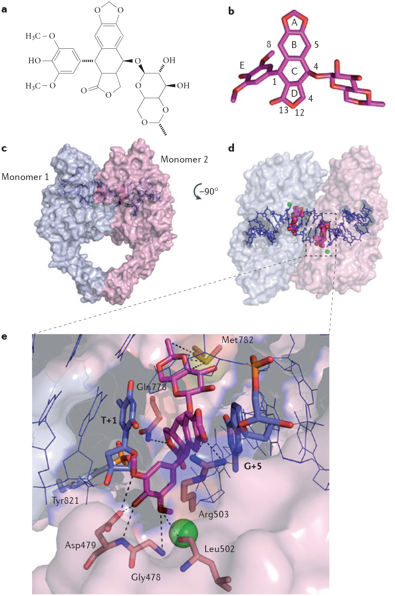 Figure 2 |